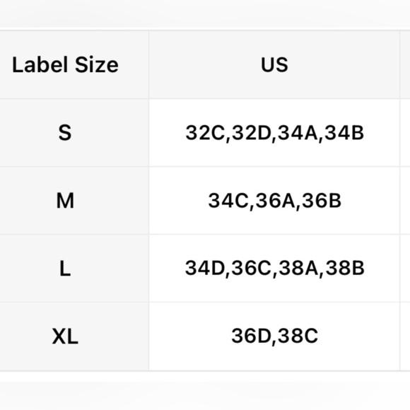 4pc SET Satin Vintage Rose Bra , Thong , Garter Belt & Lace Thigh High Stockings - Picture 11 of 13